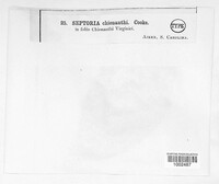 Image Associated With the Occurence